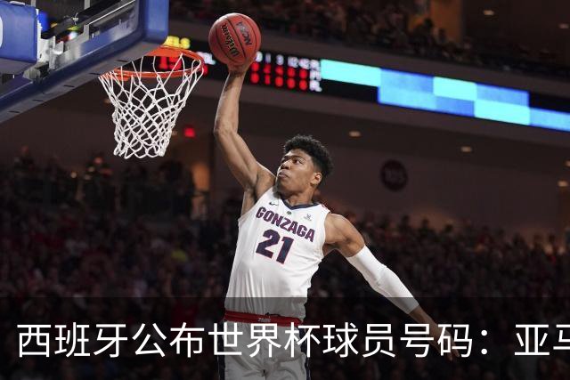 西班牙公布世界杯球员号码：亚马尔身披19号 奥尔莫10号